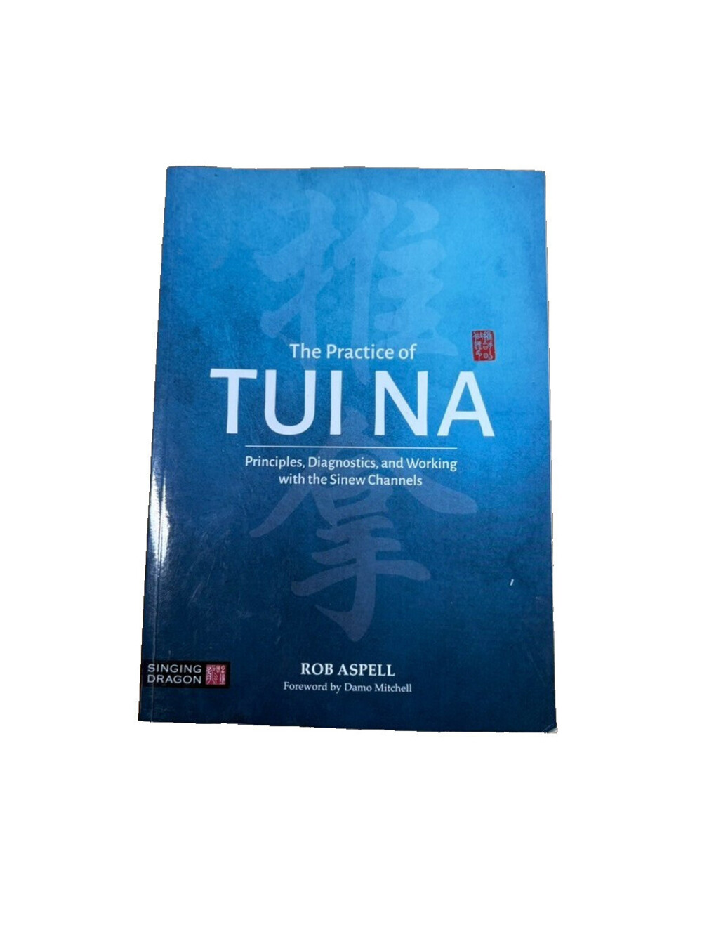 The Practice of Tui Na - Paperback, by Rob Aspell - Very Good